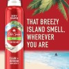 Old Spice Fiji Men's Dry Shampoo for the Hair, 4.9