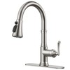 FORIOUS Antique Kitchen Faucets with Pull Down Sprayer Brushed Nickel,