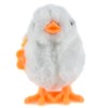 NOVELTY GIANT WWW.NOVELTYGIANT.COM Wind Up Hopping Chicken Easter Egg Baby