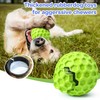 DISSKNIC Indestructible Squeaky Dog Balls Puppy Toys, Interactive Dog Toys