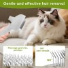 Cepillo Para Perros 3 En 1 , Gatos Vapor Peine