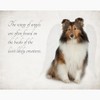 CafePress Sheltie Notecards (Set Of 10) 4.25" x 5.5" Notecards