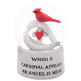 Elanze Designs Cardinal Bereavement 100MM Musical Glitter Snow Globe Plays Tune Amazing Grace