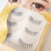 CLEAREYELASH Natural 3D 3D Matsueku False Eyelashes 3 Pairs (S01