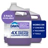 Dawn Professional Heavy Duty Liquid Degreaser, Pine Scent, 1 gal.,