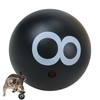 Cat Toy Ball | Interactive Cat Ball | Fun Kitten