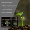 Soil Activators, Organic Soil Activator & Plant Fertilizer, Supports Root