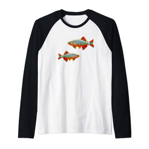 CPD Nano Fish Lovers Galaxy Rasbora Celestial Pearl Danio Raglan