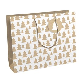 Clairefontaine - Ref X-29544-6C - Recycled Kraft Shopping Gift Bag (Single Bag) - 37.3 x 11.8 x 27.5cm in Size, 210gsm Printed Kraft Paper - Lovely Home Green Design