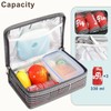 FlowFly Small Insulated Lunch box Portable Soft Bag Mini Cooler