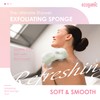 Ecoganic 2PK Set Exfoliating Shower Loofah Body Scrubber, Bath Sponges