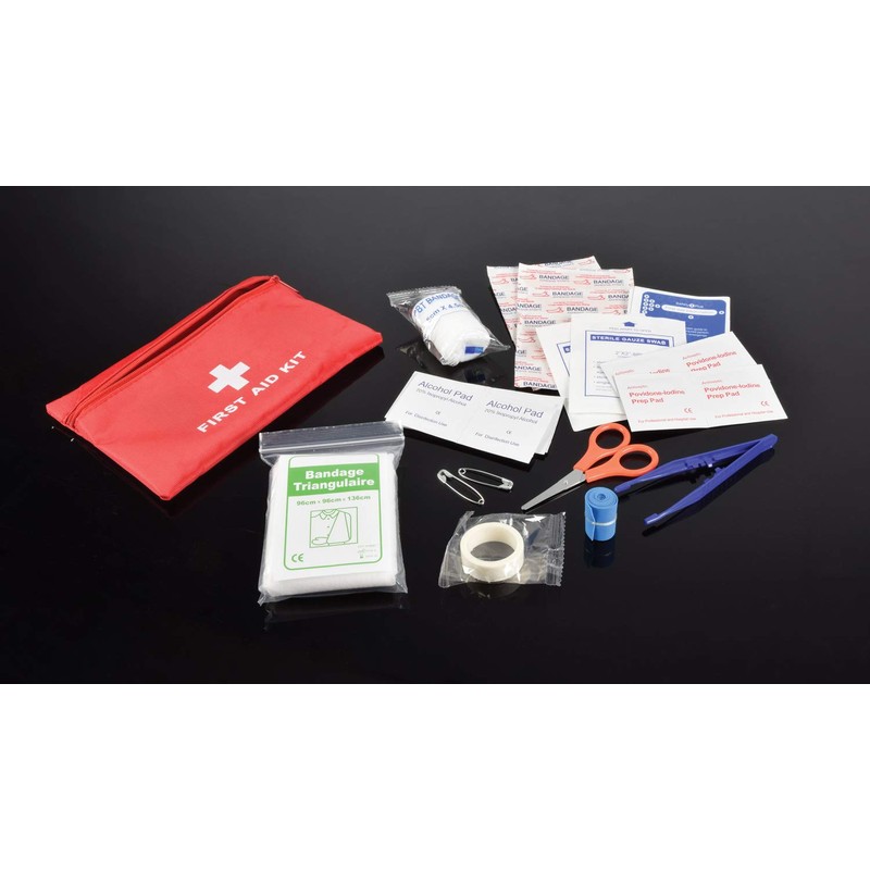 Mercury | Mini First Aid Kit | 40 Piece, red