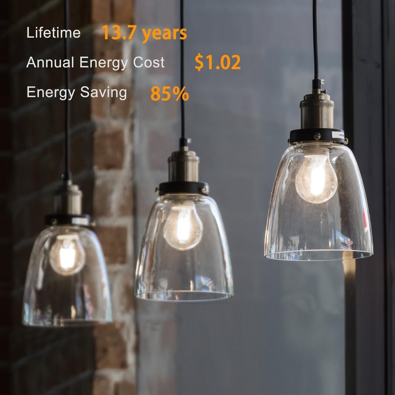 TJOY 6 Pack A19 Vintage LED Edison Bulbs, Dimmable Light