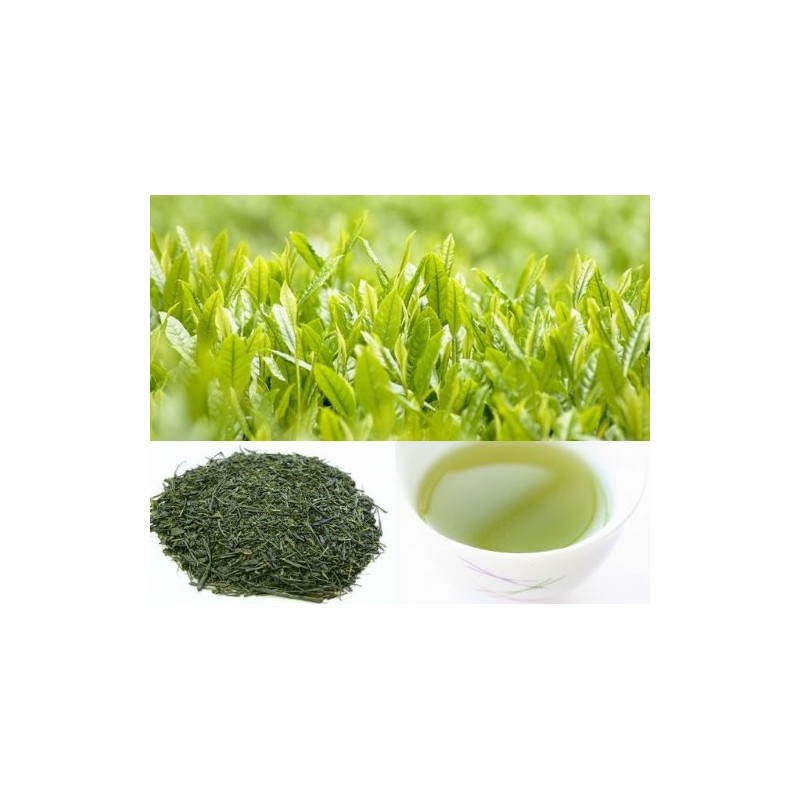 2024 New Tea Deep Steamed Kakegawa Tea (Shizuoka Tea), Tenkaichi,