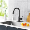 Kitchen Faucet with Pull-Down Spray Single Handle high arc Commercial