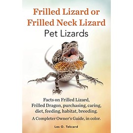 Frilled Lizard or Frilled Neck Lizard, Pet Lizards, Facts on Frilled Lizard, Frilled Dragon, Purchasing, Caring, Diet, Feeding, Habitat, Breeding. A C