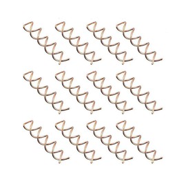 20 PCS Metal Spiral Hair Pins Fast Bun Twist Screws Bobby Hair Pins Spin Hair Clip Hairdressing Tool Woven DIY Hair Style (Rose Gold)