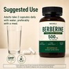 Berberine Supplement 500 mg, Dual-Form Complex, 60 Capsules