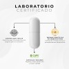 Citrato De Magnesio 100 Puro Benat 500 Mg 120 Caps