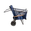 Strawberry Fairy 2 in 1 Beach Cart Chair with Wheels,