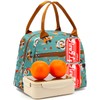 FlowFly Insulated Lunch Cooler Bag - Tote Bag Organizer for