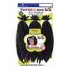 FreeTress Crochet Braids 3X Kids Pre-Fluffed Poppin' Twist 12" (pack