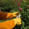 Nuo Wen Heavy Duty Long Leather Garden Gloves Thorn and