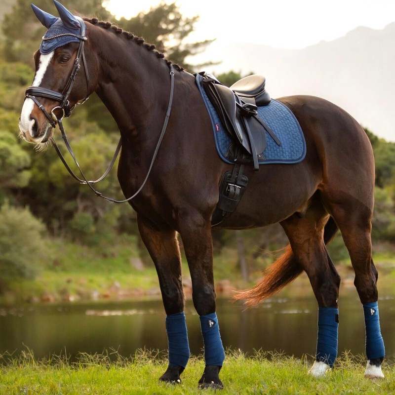 LeMieux Suede Dressage Square Saddle Pads - English Saddle Pads