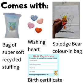 Magical Rainbow Teddy Bear - Soft Plush Toy - 10 inch / 25cm - Build your own Teddy Bear - Party Kit - no sewing