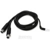 Shure PA720 Input Cable (5-pin LEMO to Left/Right XLR Female)