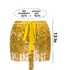 Sequin Skirt Fringe Skirt Belly Dance Hip Skirt Rave Party
