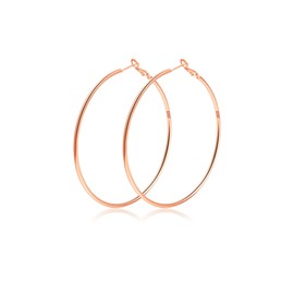 2mm Sterling Silver Big Hoop Earrings for Women Gold Filled Hoop Earrings Large Gold Hoop Earrings for Womens Hypoallergenic Circle Endless Thin Hoop Oversize Earrings 20/30/40/50/60/70Mm Aretes De Aro