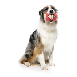 FuzzYard Lager, One Size, Red