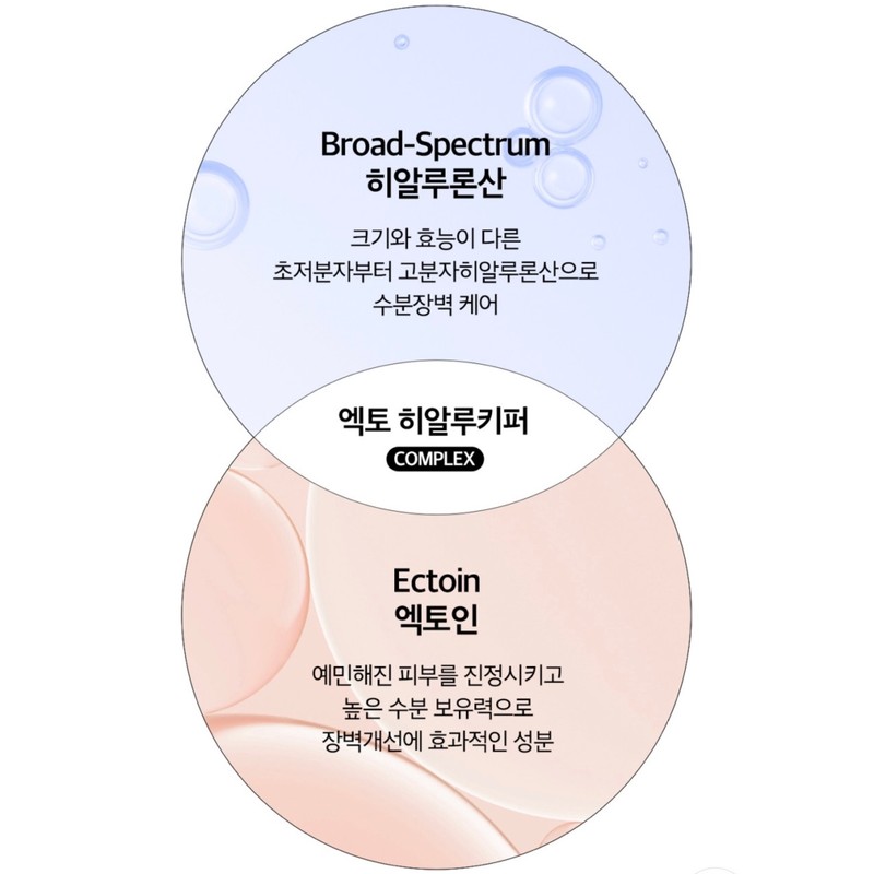 Ohui Day Shield Sunquid 50g / 오휘 데이쉴드 선퀴드 50g