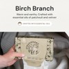 Grab Green Stoneworks Dryer Sheets, 160 Sheets, Birch Branch Scent,