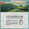 Wissotzky Cool Peppermint Herbal Tea, 20 Tea Bags | Refreshing