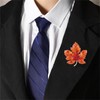 coadipress Maple Brooch Pin for Women Sparkling Rhinestone Crystal Fall