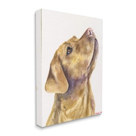 Stupell Industries Yellow Lab Gazing Upwards Pet Dog Portrait, Design by George Dyachenko Canvas Wall Art, 16x20, White