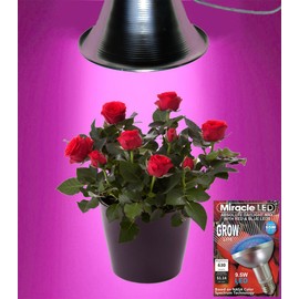 MiracleLED 604967 12W Grows for Pennies MAX Plant LED Grow Light