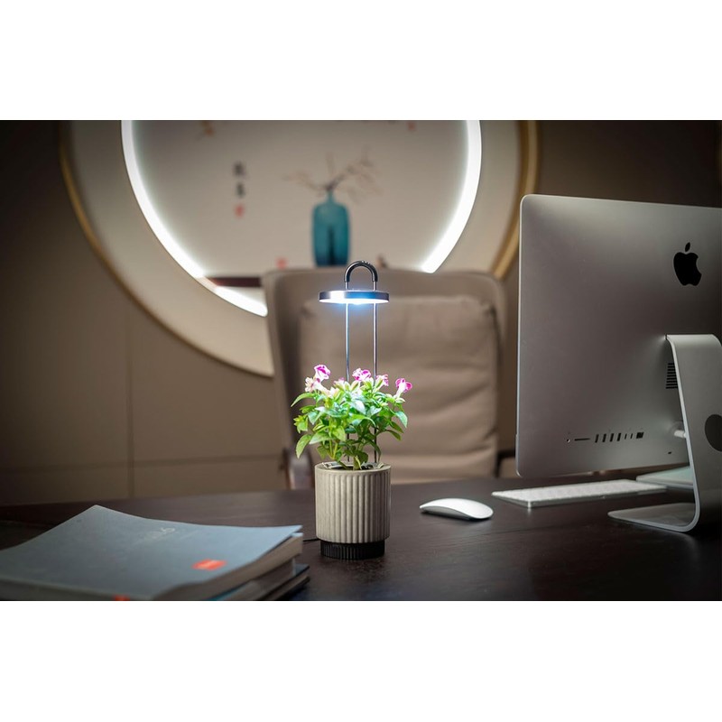 Mini Smart Planter Kit with Black Pansy by Click&Grow, Hydrovase