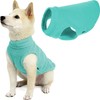 Gooby Stretch Fleece Pull Over Cold Weather Dog Vest, Mint,
