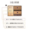 Coffret D’or Eyeshadow Flesh Color Impression Eyes