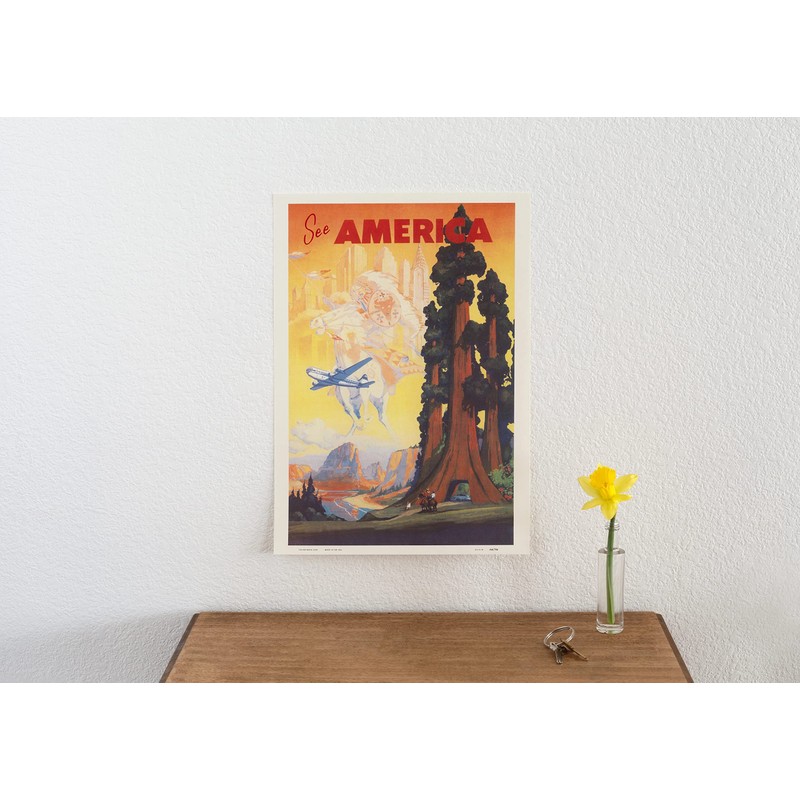 French Cauliflower Broccoli Seed Packet - Vintage Image