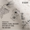 Davines OI Shampoo - All Hair Types - Roucou Oil