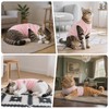 LIEVUIKEN Cat Recovery Suit Anti Licking, Cat Surgery Recovery Suit
