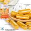 Berberina 100 Pura 120 Cáps Suplemento Alimenticio Saisa Herbal Metabolismo