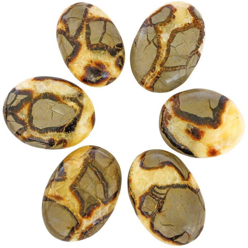 Septaria Stone 4 to 6 cm Natural Lithotherapy Collection Minerals