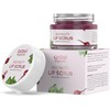 Aravi Organic Beetroot Lip Lightening Scrub Balm for Dark,Chapped &