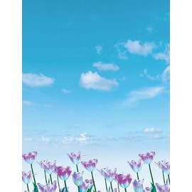 Great Papers! Tulips Field Letterhead, for Invitations, Announcements and Personal Messages, Printer Friendly 8.5" x 11", 50 Pack (2023073)