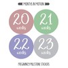 Months In Motion Pregnancy Weekly Belly Growth Stickers - Week
